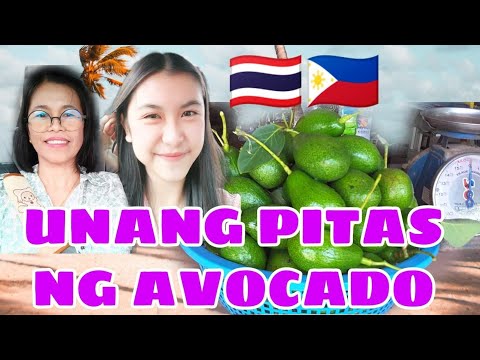 UNANG PITAS NG AVOCADO @thai-fildaughtereunice