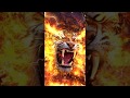 Angry fire tiger live wallpaper