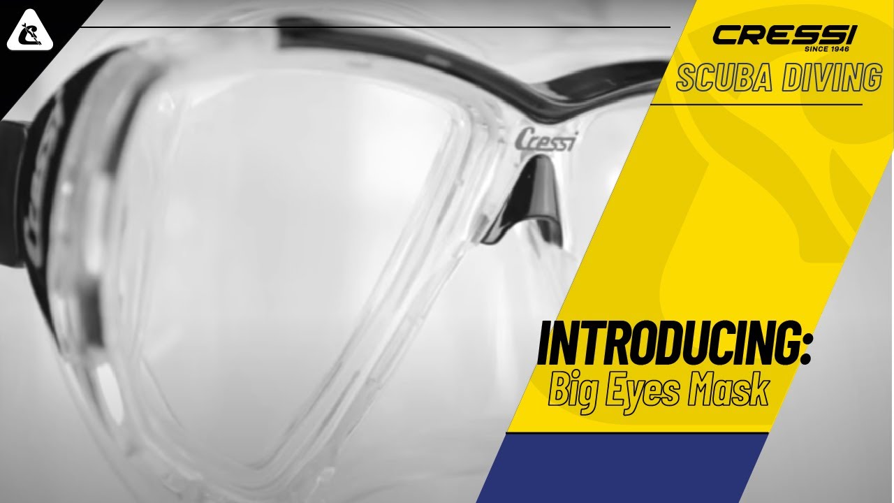 Best Snorkel Mask 2021 [UPDATED] A Marine Biologists Guide 