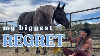 horse ownership: MY BIGGEST REGRET