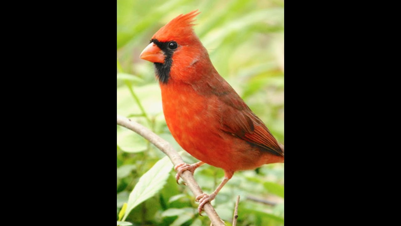 Weird Holidays of 2020: January 5-11