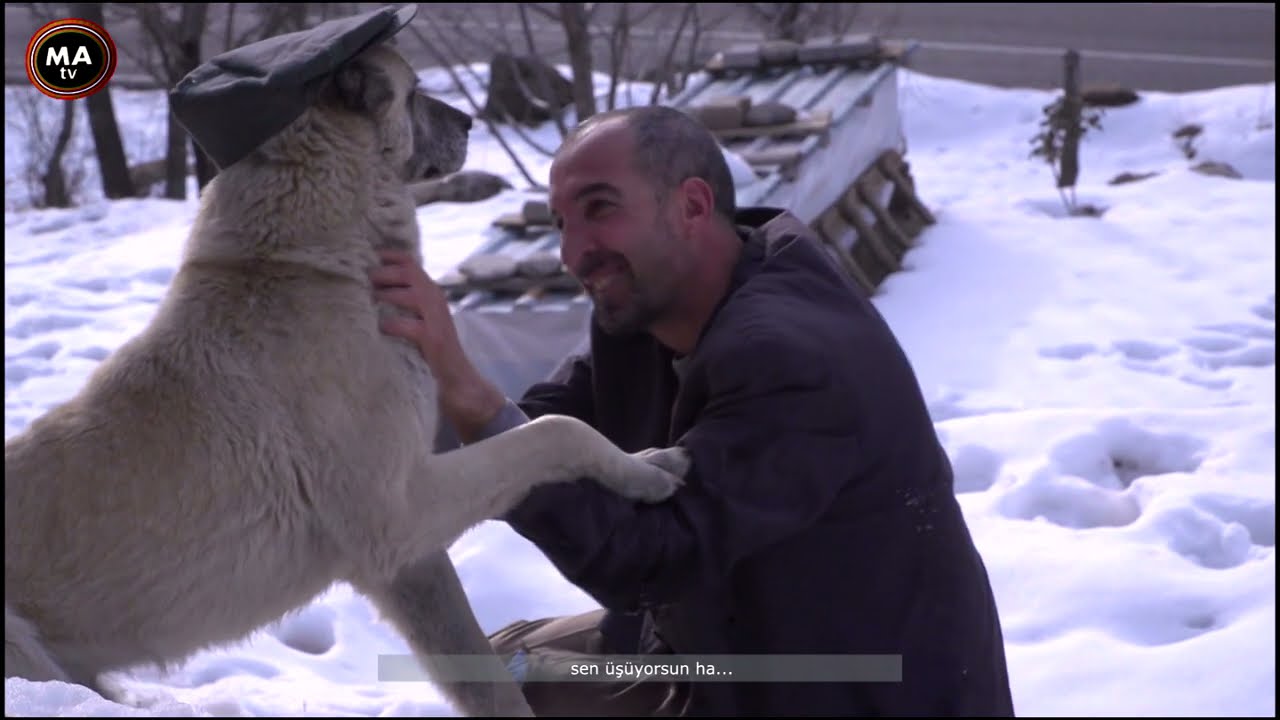 SAYD - AV  - zazaca/ kırmançki film Ful izle
