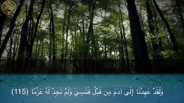 القارئ: محمد الخضيري - طه (115)_(123)