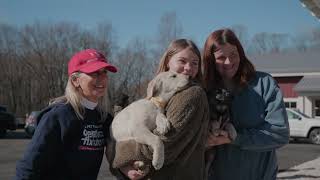 Join BISSELL Pet Foundation's Resistance!