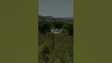 وما جعلناهم جسدا لا يأكلون الطعام / سورة الأنبياء | القارئ 🎙️ياسر الدوسري