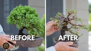 Incredible Bushy To Bare Transformation