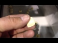 BMIII 5gate 1ct butter mints