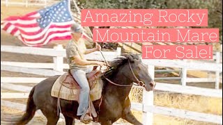 Wink The Amazing Rocky Mountain Mare
