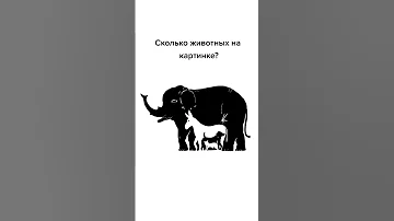 Сколько животных видишь на картинке свой ответ пиши в комментарии❤️👌