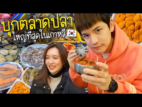 กินซีฟู้ดแบบสดถึงใจ ที่ตลาดปลาใหญ่ที่สุดในเกาหลี! | ติดเต๋า in korea EP.2