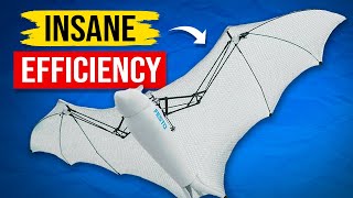 How Bionic Wings Are Reinventing Drones by Ziroth 1,757,707 views 6 months ago 12 minutes, 26 seconds