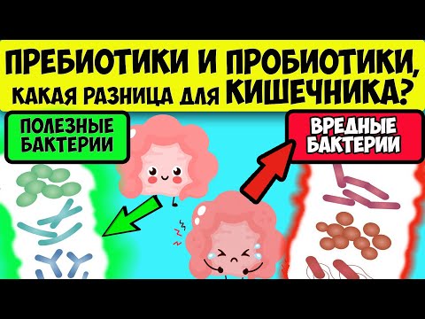 ПРЕБИОТИКИ и ПРОБИОТИКИ - В Чем Разница для Кишечника? Полезные и вредные бактерии для кишечника