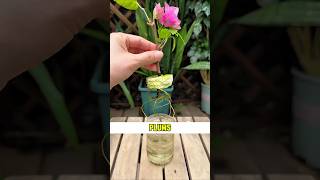 Famous This man is a genius Wealth