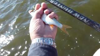 Рыбалка В Николаеве. Скалы Лучшее Место.