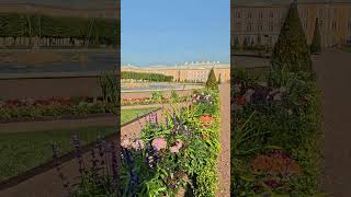 Beautiful Gardening in Upper Garden of Peterhof &amp; Yellow Royal Palace 4K HDR #peterburg #shorts #spb