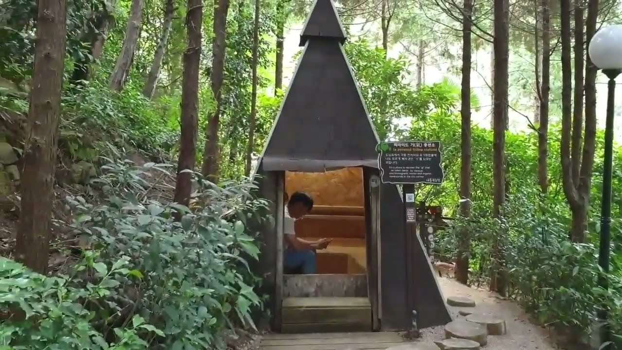 나폴리농원은 힐링과 치유의 숲! 편백나무숲의 향기를 맡으며 맨발체험과 족욕까지..