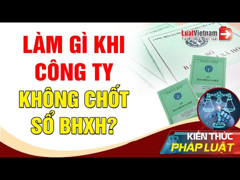 Video: Đầu máy thu hoạch: tổng quan thị trường và mẹo lựa chọn. Thiết bị công nghiệp