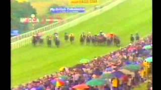 1985 Stewards Cup Handicap Al Trui Full Race
