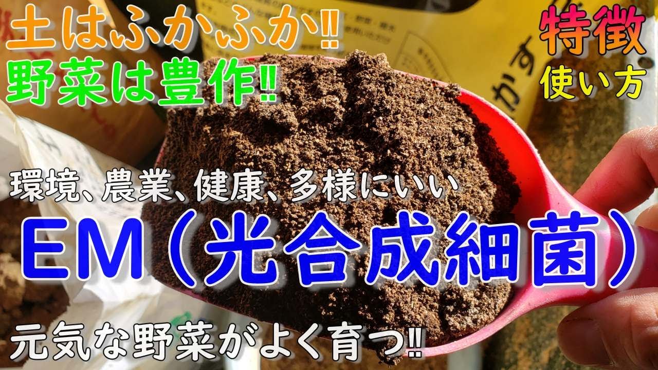 土はふかふか‼野菜は豊作！EM（光合成細菌）の力とは「特徴と使い方」
