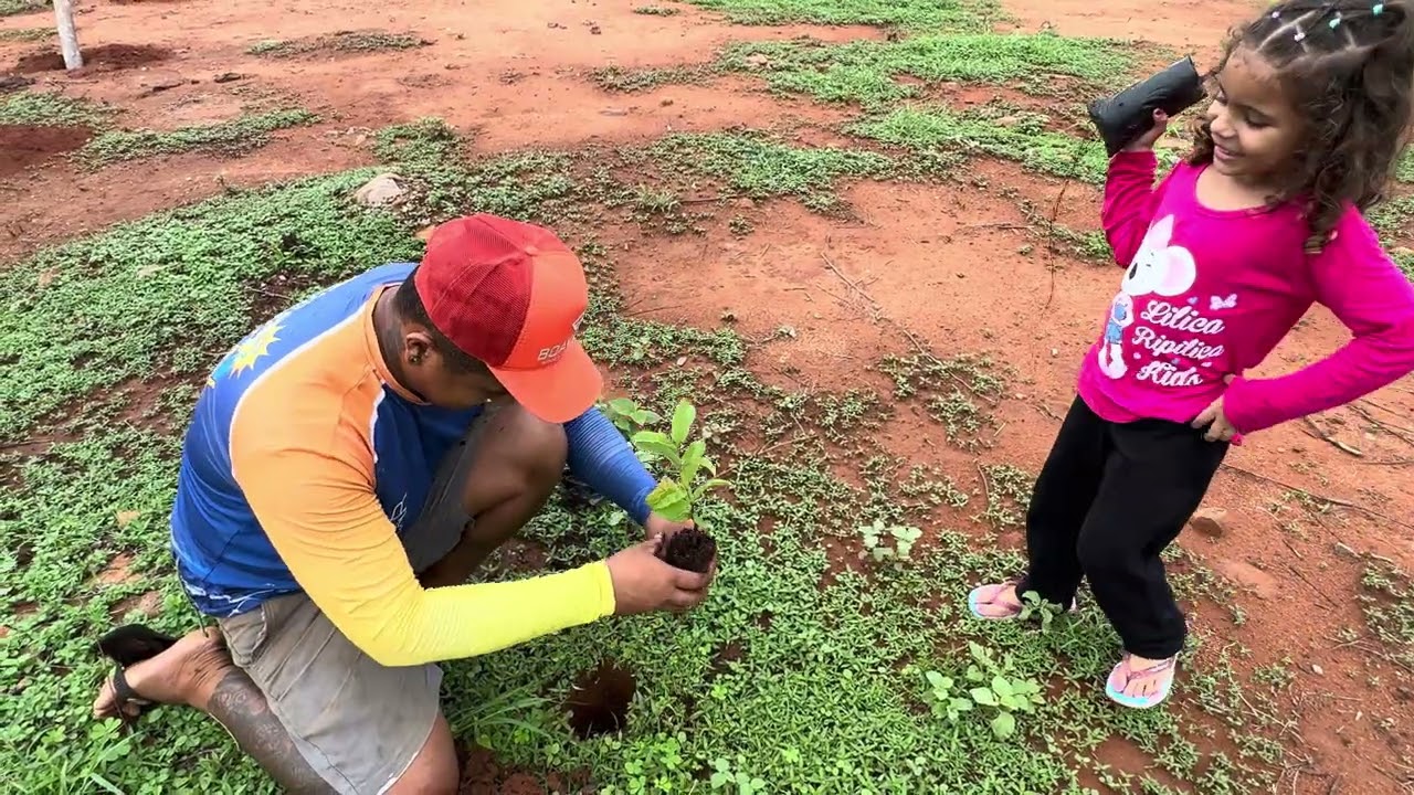 PLANTAMOS NOSSAS FRUTEIRAS | FABINHO FILHO DO SERTÃO
