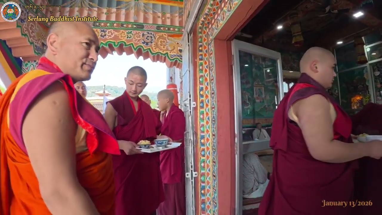 ཁྲི་དར་བཞེས་པའི་བརྙན།#views #viral #youtube #fypシ゚viral @YouTube 