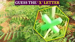 Find The Hidden X Letter Hidden Optical Illusions Riddles Genius Brain Teasers Most Fail Brain Riddl