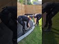 Backyard Border Bed Transformed Into Elegant Curved Garden Design #shorts #shortvideo
