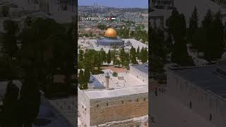 Palestine ko support Karen comment mein follow Karen