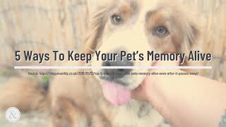 5 Ways To Keep Your Pet’s Memory Alive | Mittens and Max