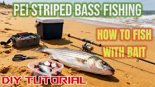 How To Fish Striped Bass! | DIY Bait Fishing Setup