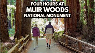 An Overview of Muir Woods National Monument