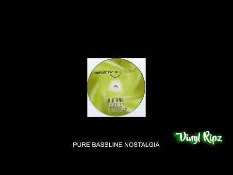 Big Ang — BIG ANG - ABSOLUTELY NOT ( ORGAN MIX )  NICHE / BASSLINE HOUSE / SPEED GARAGE / VINYL RIP