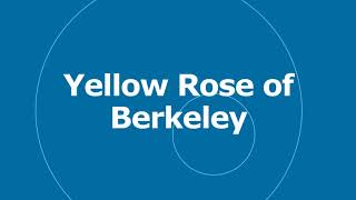 🎵 Yellow Rose of Berkeley - Rondo Brothers 🎧 No Copyright Music 🎶 YouTube Audio Library screenshot 3