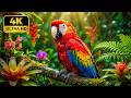 Wildlife Planet 4K 🌿 Majestic Animals and Relaxing Nature Sounds Documentary Film