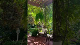 August be like… 😎 #gardendesign #happyaugust #cottagegarden #porchliving #nature #summer