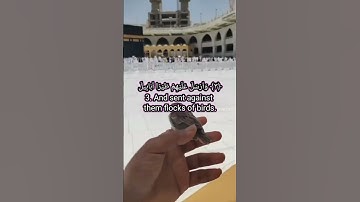 سورة الفيل/ الم ترى كيف فعل ربك باصحاب الفيل /surah Al feel