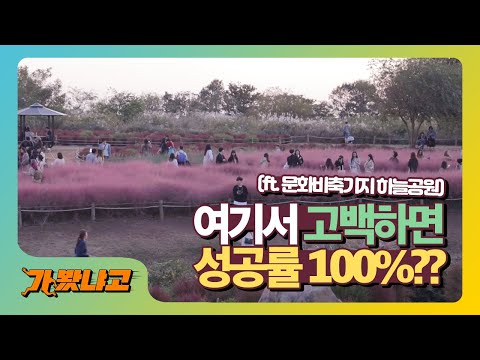 고백 성공율 <strong>100</strong>%인 가을 데이트 명소? <strong>짝사랑</strong> 하고 계시면 &amp;#39;이곳&amp;#39;에 가세요 [가봤냐고] 문화비축기지/하늘공원 억새축제