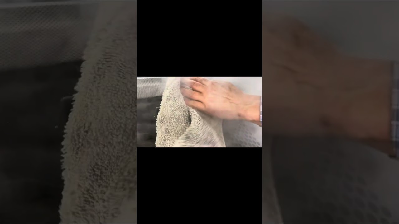 Porsche 24k 24/7 Poliert und versiegelt