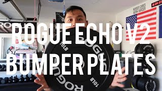 Details ROGUE ECHO V2 PLATES VS CRUMB RUBBER PLATES News