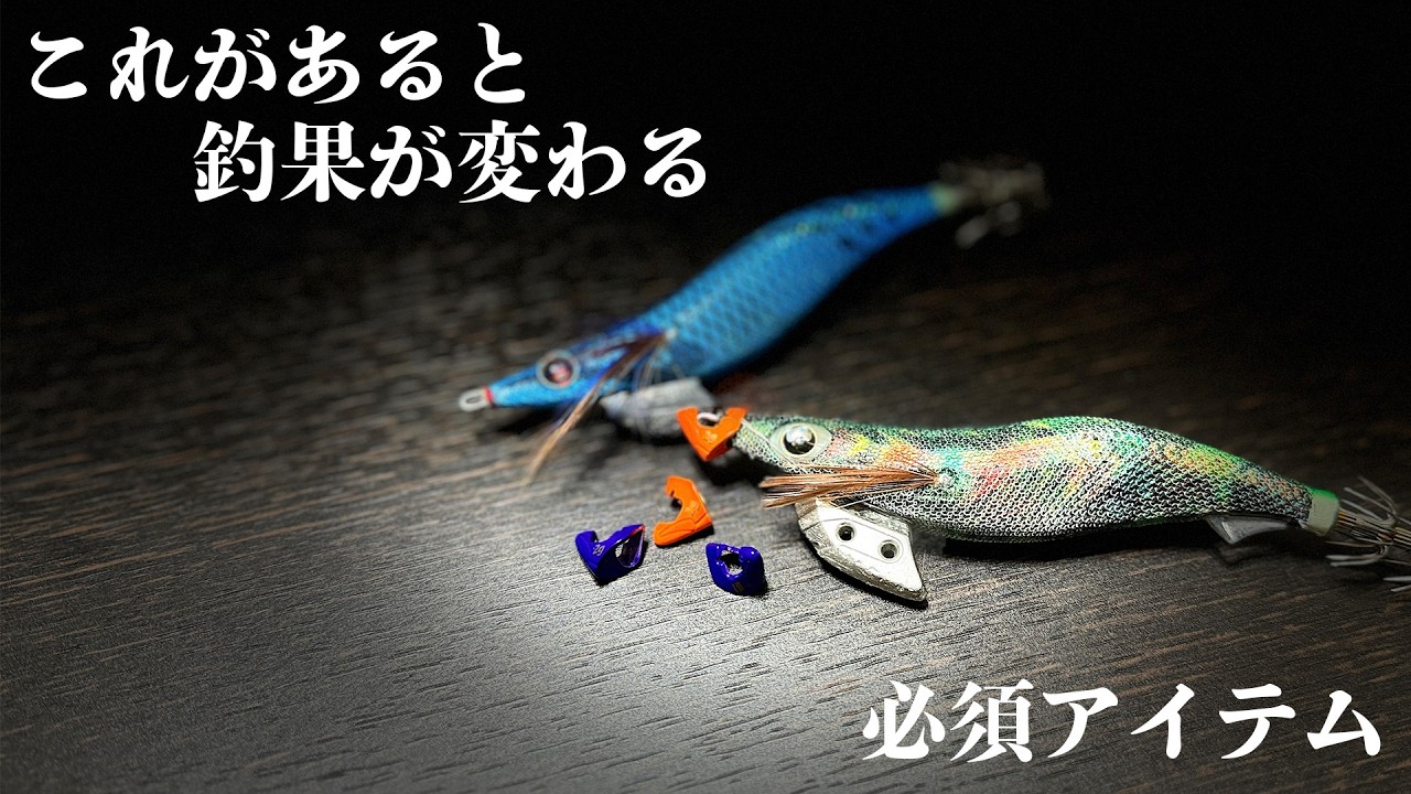 エギング【ちょっと頭に付けるだけで釣果が変わります】2024 12月