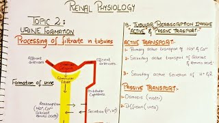 Renal physiology|GUYTON UNIT 5|CH 27|processing of filtrate