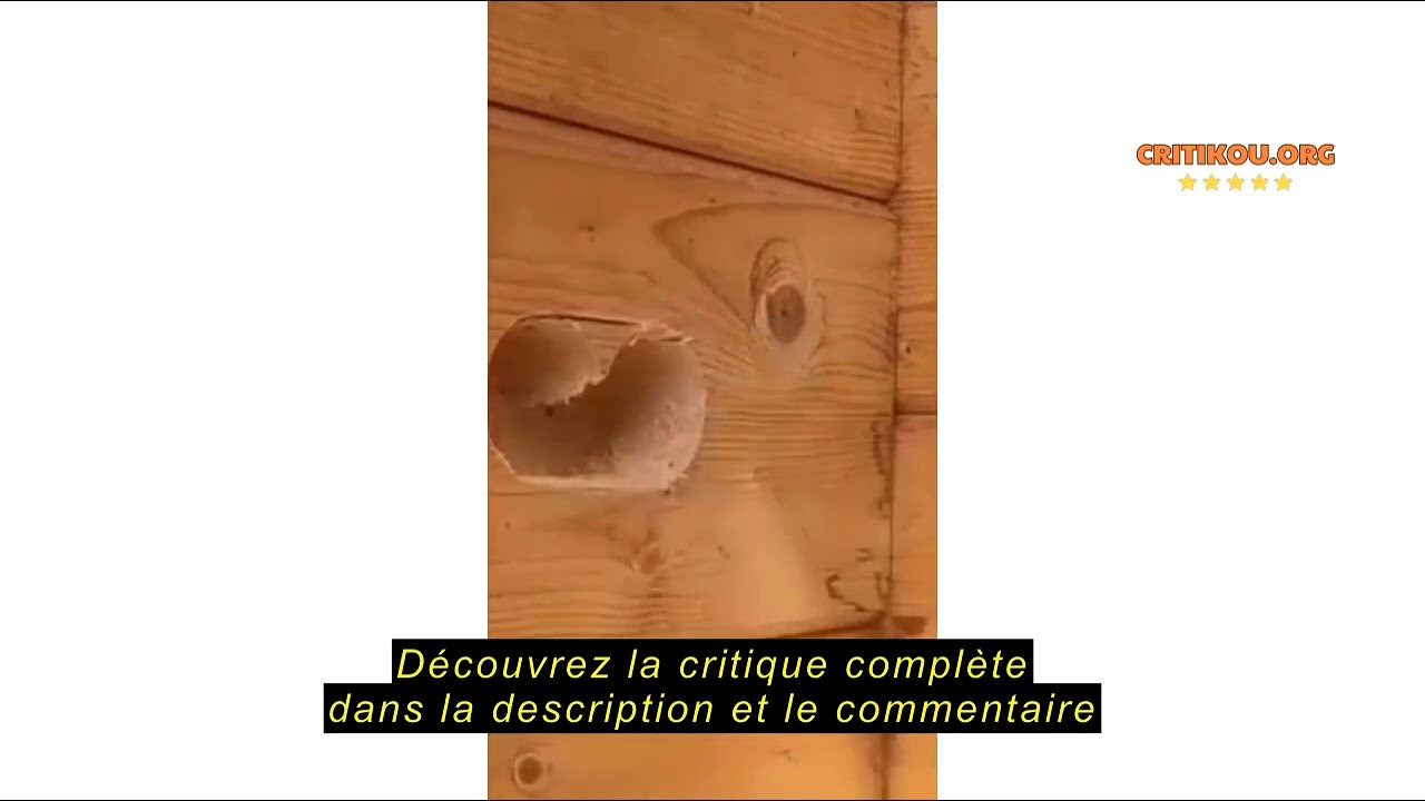 Avis sur la Bosch Professional Découpeur ponceur GOP 55-36 (550W, Oscillations à vide 8.000 – 20.000