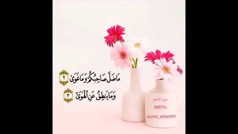 اول ثلاث آيات من سورة النجم /البداية