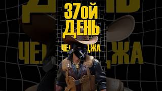 САМЫЙ ОСЛЕПИТЕЛЬНЫЙ ВЫПУСК! 37ой день челленджа в #cs2 "ОДИН МИЛЛИОН КИЛЛОВ НА РЕВИКЕ" #csgo