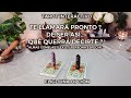 ✨Te Llamará Pronto ? 📞🙇🏻‍♀️ De ser así... Qué Querrá Decirte ? 🙆🏻‍♀️💥 Tarot Interactivo✨