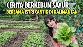 ALHAMDULILLAH ‼️ TANAMAN INI MASIH LAYAK DI TANAM MODAL DIKIT UNTUNG GEDEN