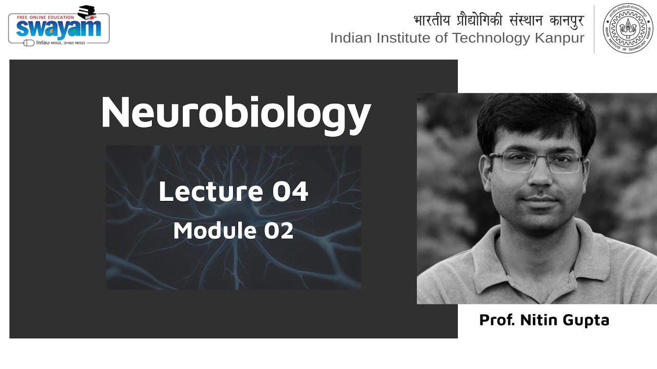 Lecture 04 Module 02 - YouTube