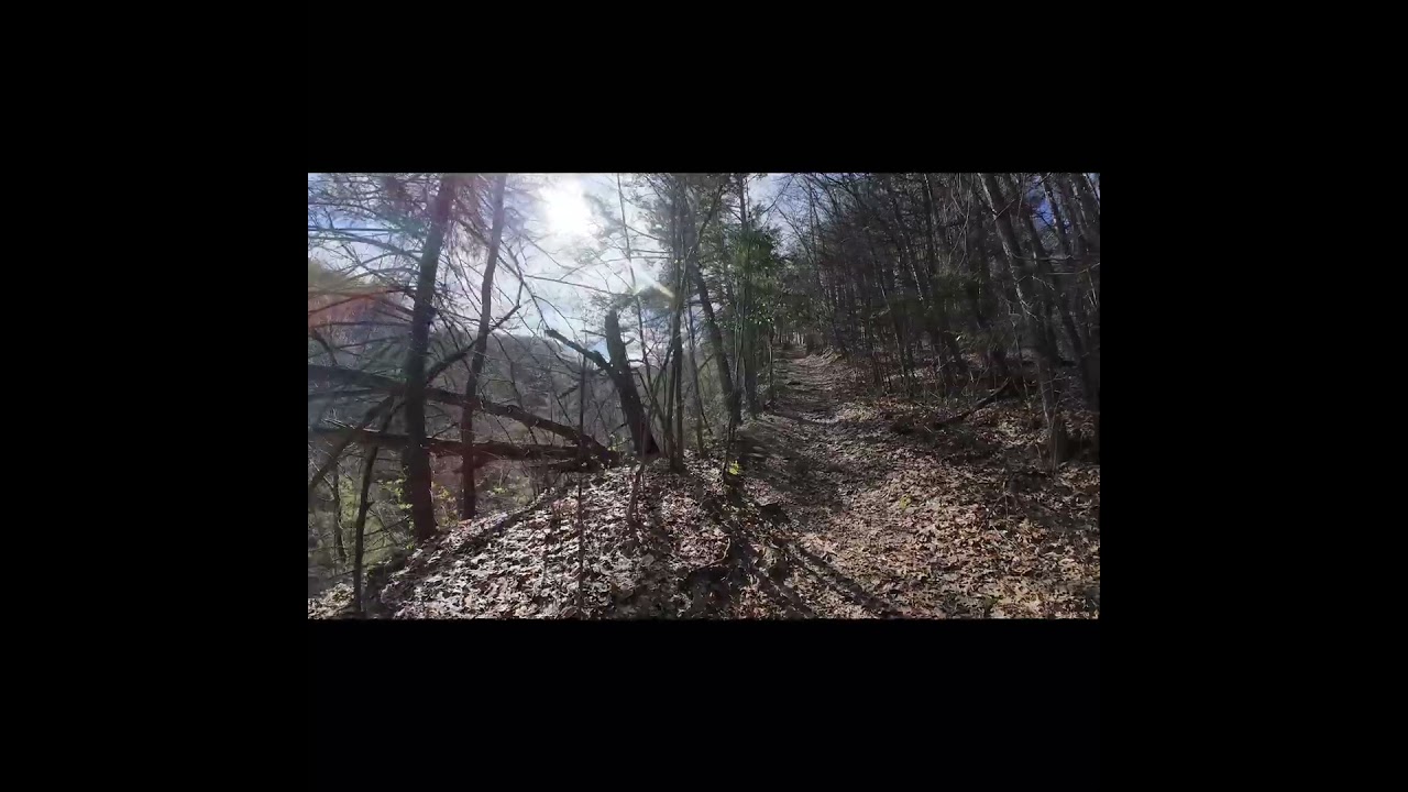 MOUNTAIN HIKE FOREST GORGE 4K BIRDSONG #hiking #forestwhispers #birdsong #nature