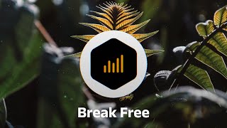 Break Free - 🎧Motivational EDM Track🎧 - royalty free music