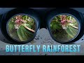 Spend a few minutes in VR at the Butterfly Rainforest in Gainesville, Florida | VR180 3D VR